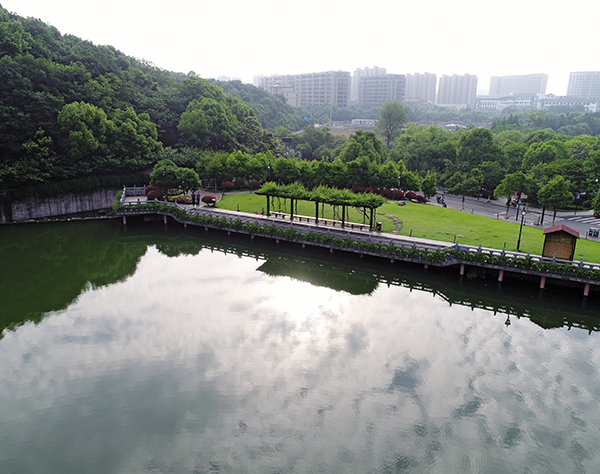 農業(yè)3.jpg